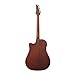 Ibanez ALT20 Altstar Acoustic-Electric Guitar (Open Pore Natural)