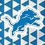 Detroit Lions Home Field