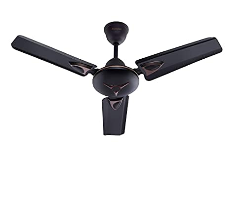 Candes Amaze 900mm /36 inch High Speed Anti-dust Decorative 5 Star Rated Ceiling Fan 440 RPM with 3 Years Warranty (Pack of 1, Coffee Brown)