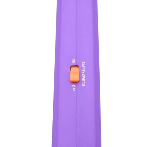 The Executioner Fly Zapper Mosquito, Wasp, Bug, Insect Killer Swatter Electric Fly Zapper Racket Single Layer for Efficient Zapping Indoor Outdoor (Rainbow)