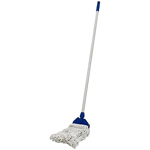 DWIZ Enterprise Wet mop with 5 Feet Long Aluminium Handle with REFFIL (B09XMCSB8Q) Amazon Price History, Amazon Price Tracker