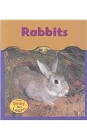 Amazon | Rabbits (Under My Feet) | Whitehouse, Patricia | Rabbits
