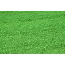 Creeping RED Fescue 6 LB