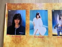 浜田麻里 B2ポスター 3枚セット Amazon.co.jp: 浜田麻里 ポスター 1983年～1992年 B2サイズ : 文房具