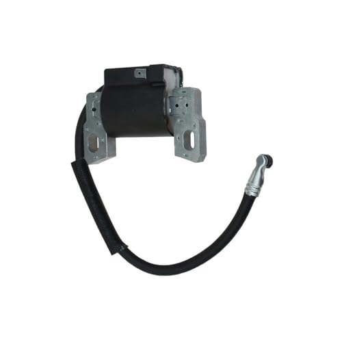 Bobine d'allumage pour résoudre les problèmes de démarrage moteur 124S02 122S02