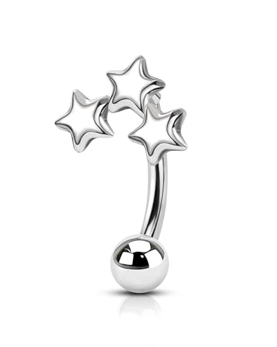 Minimalist Star Rook Earrings, 16G Rook Eyebrow Jewelry, Stainless Steel Rook Eyebrow Piercing Jewelry Vertical Labret Stud