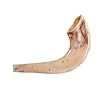 Rite Lite Plastic Shofar Horn ... #1