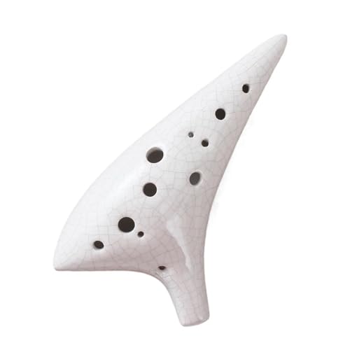 IJi 12y Ag AC`[ S vtx w t[g(2)