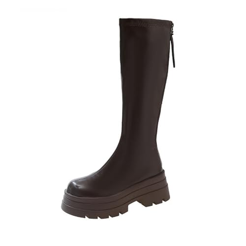 [Z_ `V] fB[X WbL[u[c O r 6Z` q[ RXv Gu[c C 25.0cm r₹ oCNp H~ ₷ ɂ obNWbp[ JWA uE C Vv ʋ JW ʊw h