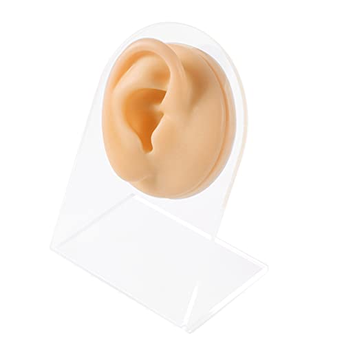 CHUANCI Soft Silicone Flexible Model Body Part Displays Set for Acupuncture Human Model Simulation Set for Jewelry Display Teaching Tool