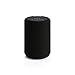 Audio Pro A10 MKII Wireless Multiroom Speaker | Wall Mountable, High Fidelity, Bluetooth Speaker w/WiFi & 3.5 mm Audio Cable Input | AirPlay2, Spotify Compatible | Black