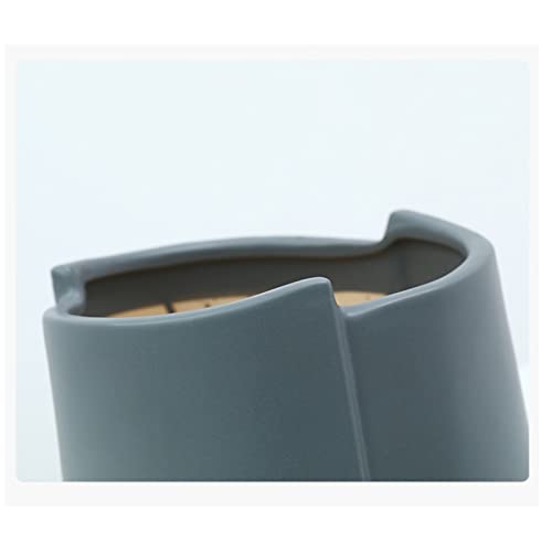Conteneurs modernes pour succulentes pour décoration de bureau - 3