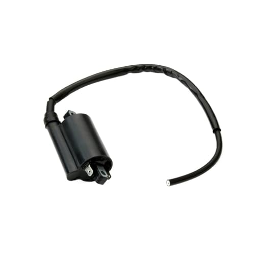 Bobina de encendido de motocicleta - Para F3 400, GTL 500, 620, 750 y 900
