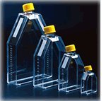 TC 75cm2 Flask, Filtered, 5/bag, 100/case