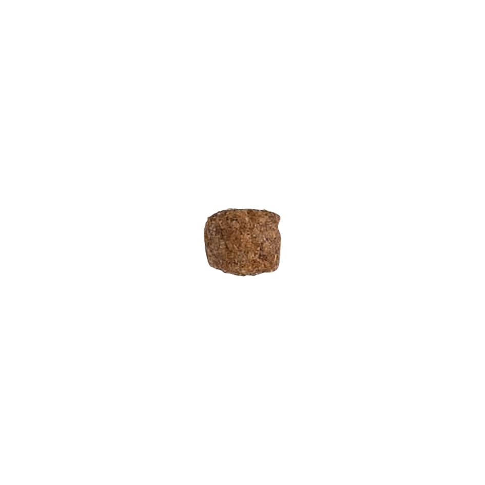 JosiDog Mini (1 x 10 kg) | Adult Mini | Premium Trockenfutter für ausgewachsene, kleine Hunde | mit hochwertigem Geflügelprotein | Extrakleine Kroketten| Powered by JOSERA | Hundefutter | 1er Pack