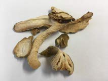 Buddha's hand / Finger Citron｜Fo Shou｜佛手｜Citrus medica L. var. sarcodactylis Swingle