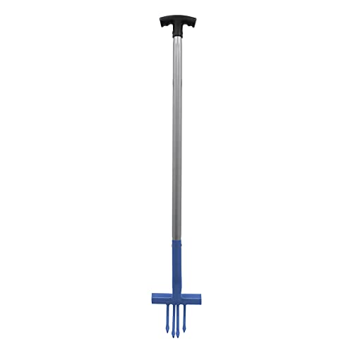 Ragwort Fork (Blue)