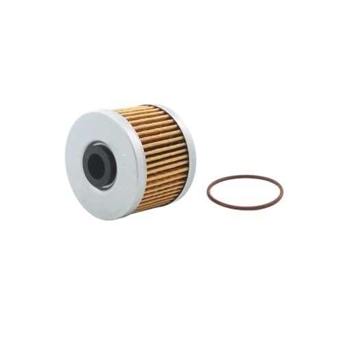 Filtre à huile pour moto CF 250NK et 250SR accessoire moteur