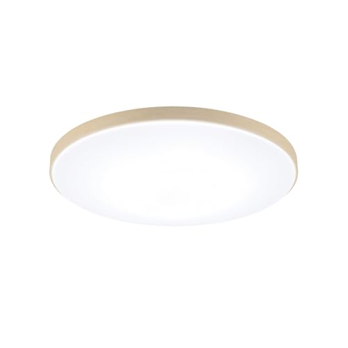 �y 12�� �z���{�� �p�i�\�j�b�N LED�V�[�����O���C�g �J���[�t���[���V���[�Y HH-CN1248A-M �E�b�f�B�O���C�� ���C�v��