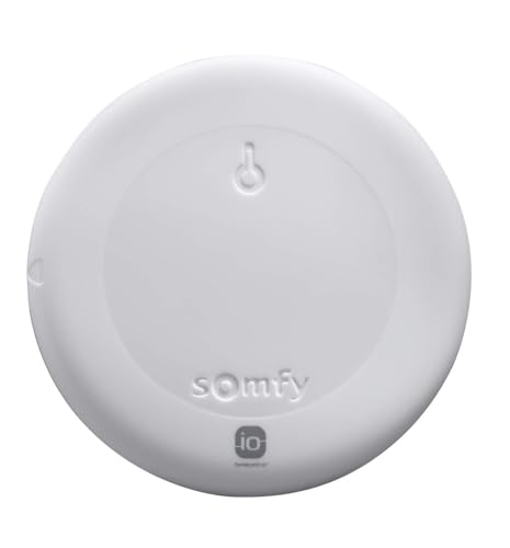 Somfy 2401220 - Thermis Wirefree IO | Capteur de température extérieur | Fonctionne avec Tahoma (Switch) | IP 34