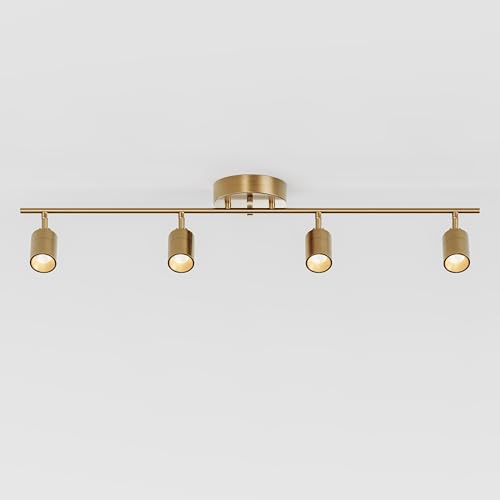VidaLite Shura Brushed Brass 4-Light Track Light with Adjustable Heads, Integrated LED Bulbs, 3 ft. Track Lighting Kit Ceiling Light, 3000k, 2240 Lumens