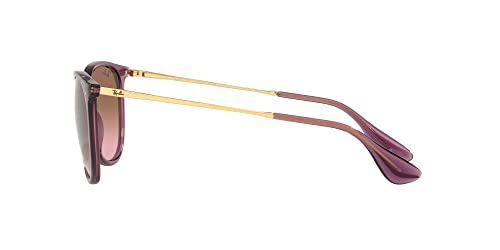 Image of Ray-Ban RB4171 Erika Round Sunglasses