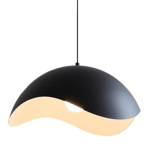 Suspension simple culot E27 en fer noir pour luminaire de plafond d'entrée