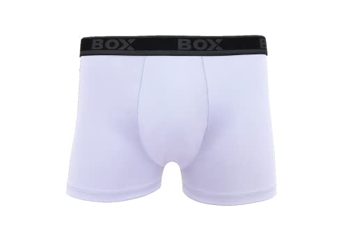 Kit 10 Cuecas Boxer Microfibra Lisa Sortida Box B60