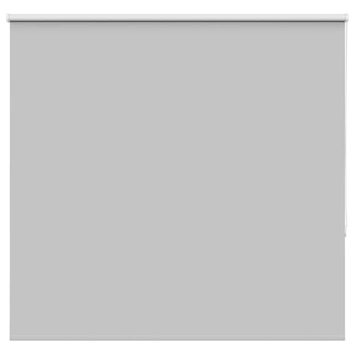 Estor Enrollable Opaco Gris Claro 150x150 cm Tela Ancho 146,6cm, Snsowed Ventanas Dormitorio, Persianas Enrollables Exterior, Estores Cocina, Estor Ventana, Estores para Ventanas es - 4011398