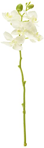 ������(Tokyodo) ���� MAGIQ ���C�i�t�@���m �z���C�g �Ԍa5~5.5×L30�p FM005189-001