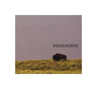  Indianerne