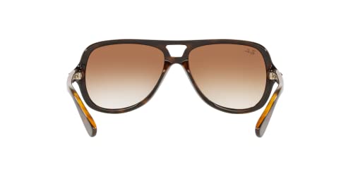 Ray-Ban Sunglasses Tortoise Frame, Brown Lenses, 59MM4