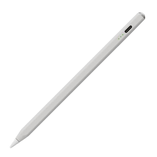 石川五右衛門。✳︎Apple iPad Pro ➕pencilセット 石川五右衛門。✳︎Apple iPad Pro ➕pencilセット Apple Pencil