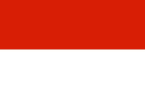 Drapeau Large Tarija 90x150cm : Grand drapeau paysage horizontal de 1.35m² pour mât