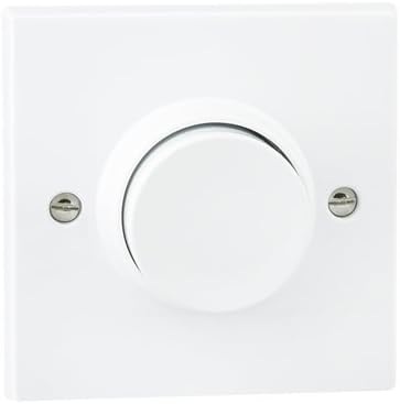 Pneumatic Time Delay Switch