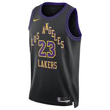 Nike Mens Lebron James Los Angeles Lakers Swingman City Edition Jersey Size Large DX8506 012