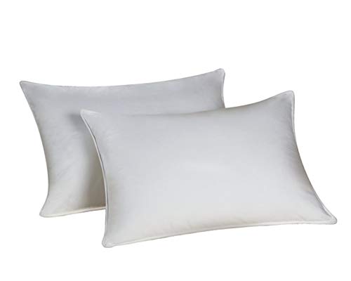 Set 2 Almohadas Fibra de poliéster 20x28