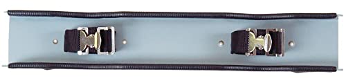 Justrite Steel Gas Cylinder Wall Bracket, Holds Two 4"-12" Cylinders, Wall Mount, Made in The USA, 35264