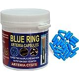 See full amazon price history chart for MaF® Blue Ring Artemia 12 Capsules (10 + Free 2 Cap) Hatching Rate Same as Peqon Imported Brine Shrimp Eggs Capsules 90% Hatching in 24 Hours MaF® Blue Ring Artemia 12 Capsules (10 + Free 2 Cap) Hatching Rate Same as Peqon Imported Brine Shrimp Eggs Capsules 90% Hatching in 24 Hours (B0CGB2BV9L) Amazon Price History, Amazon Price Tracker