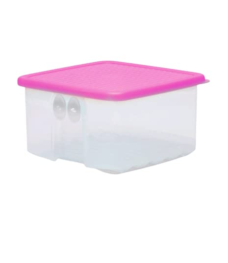 Tefiti Collection Masala Box for Kitchen, Spixe Boxes for Kitchen, Transparent Storage Containers Airtight Grocery,Cereal,Dry Fruits Dabba. (Design 18)