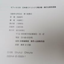 Amazon.co.jp: ゼフィルス24 日本産ミドリシジミ類24種-蝶の生態写真集