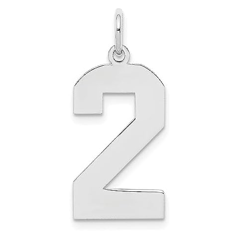 Saris and Things 925 Sterling Silver Large Polished Number 2 Charm Pendant Cover