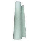 EINSIDE Tissu géotextile non tissé, grammage 200 g/m², 2x50 m (100 m²)
