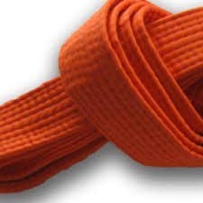 XIOMI Orange Martial Arts Karate Tae Kwon Do Judo Belts -260 cm Long