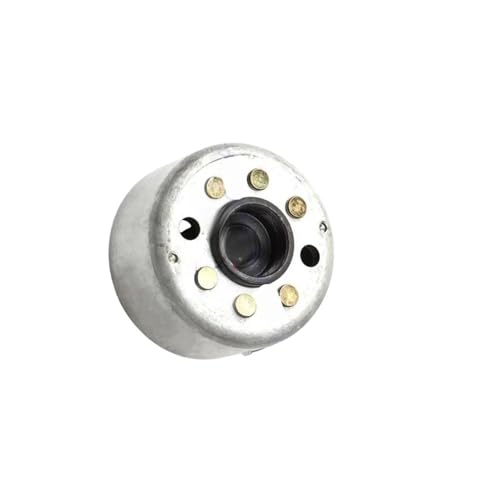 Rotor pour Lifan LF150 de vélo horizontal avec équilibrage de haute précision