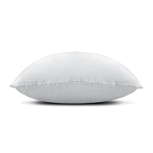 Image of EDOW Throw Pillow Inserts, Set of 2 Lightweight Down Alternative Polyester Pillow, Couch Cushion, Sham Stuffer, Machine Washable. (Grey, 16x16)