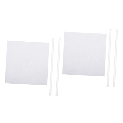 HOOTNEE 4 Packs Experimental Triboelectrification Science Experiment Supplies Static Experiment Supply Friction Electrification Experiment Equipment Physical Experiment Tool