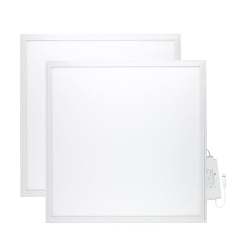 Europalamp – 2 paneles LED 60 x 60 cm, 40 W, blanco neutro, 4000 K, 4000 lúmenes, alta luminosidad, adaptación a falsos techos sin modificaciones (4000 K, blanco neutro, 2)