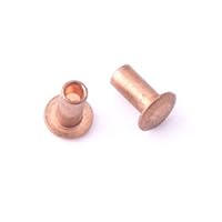 Algopix Similar Product 9 - 1/16" Dia. 1/8" Long Copper Rivet