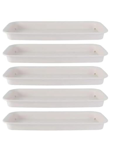 Lot de 5 soucoupes pour plantes blanches étanches et durables pour extérieur